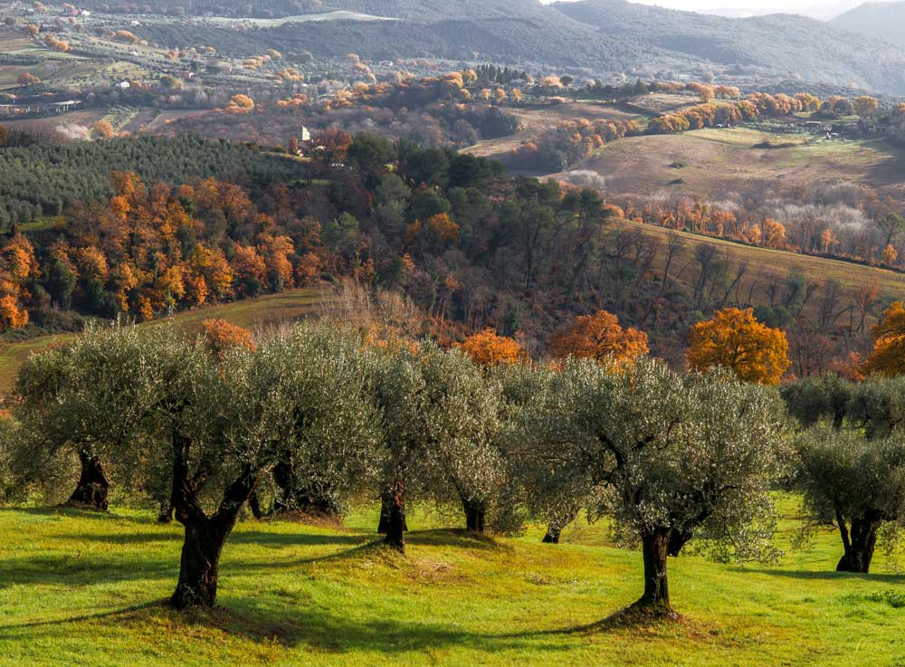 Tiburzi Carni Umbria salumi