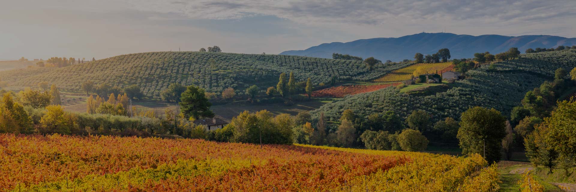 Tiburzi Carni Umbria